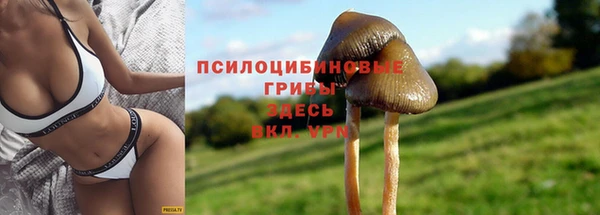 ECSTASY Алексин