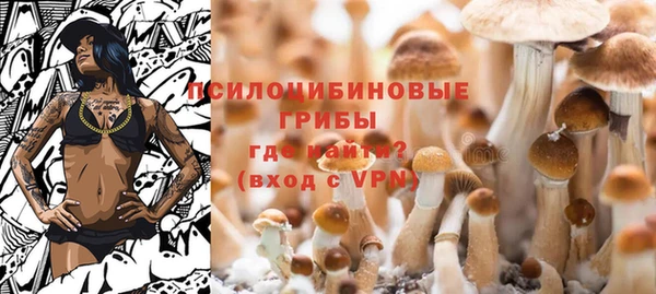 a pvp Алексеевка