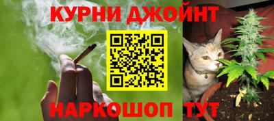 мяу мяу мука Севастополь