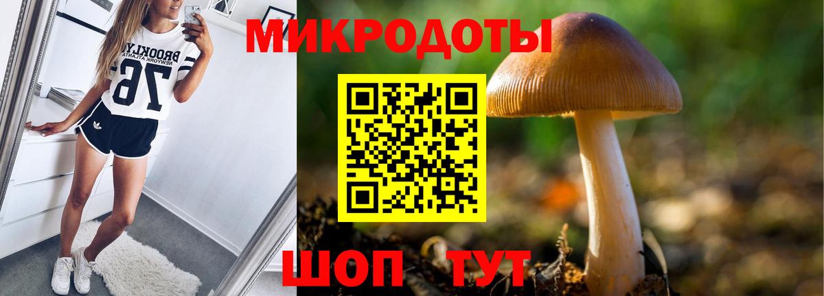 Псилоцибиновые грибы Psilocybine cubensis  Вход с VPN  Курганинск 